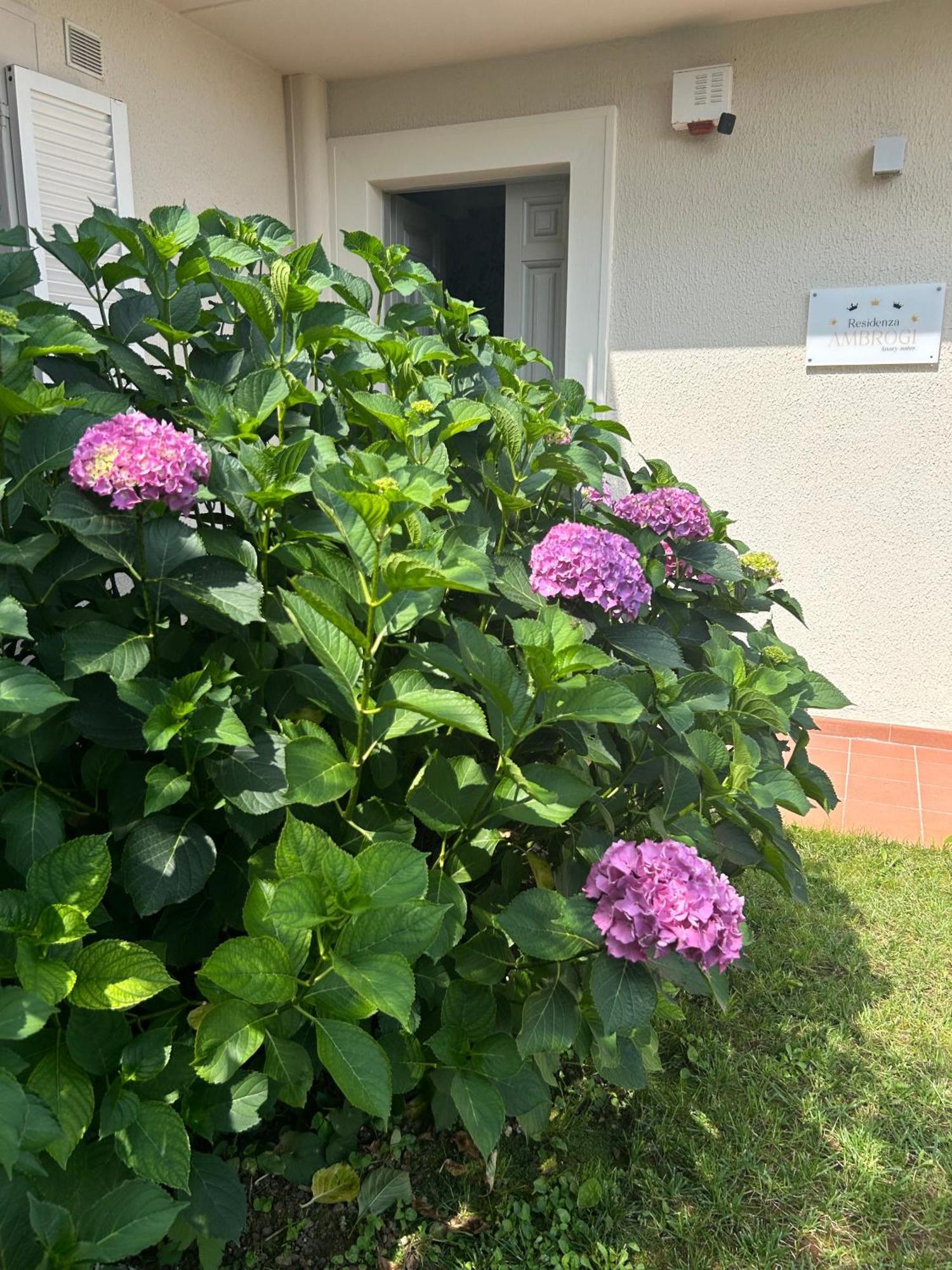 Residenza Ambrogi Luxury Suites Urbino Exterior foto
