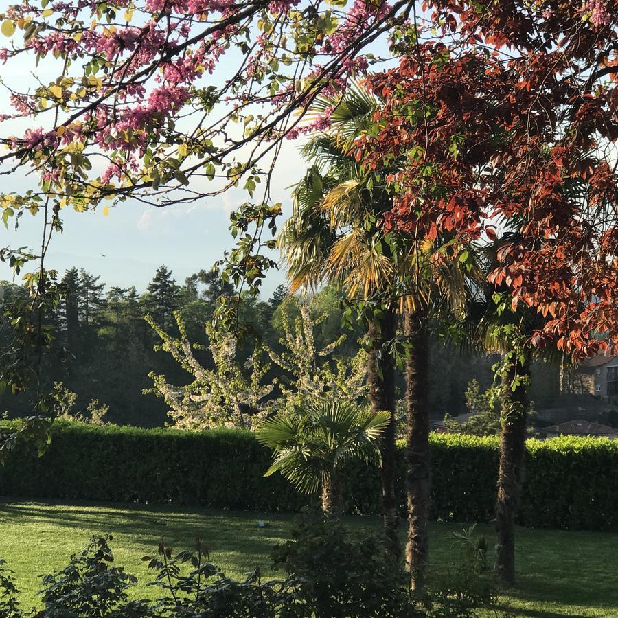 Residenza Ambrogi Luxury Suites Urbino Exterior foto