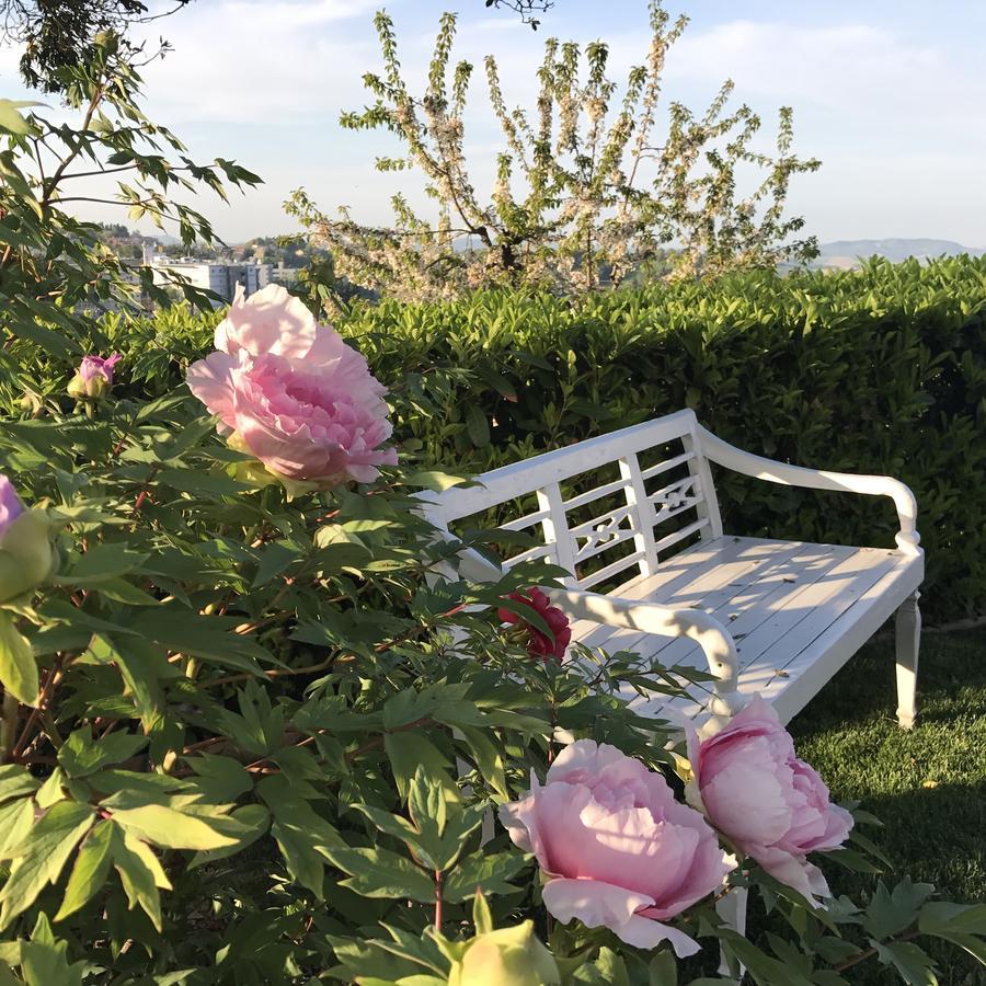 Residenza Ambrogi Luxury Suites Urbino Exterior foto